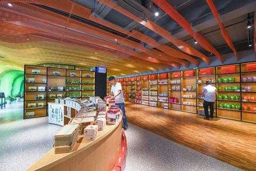 浙江慈溪 以数据处理赋能高效集约现代农业发展